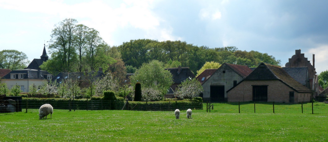 Het graafschap Zutphen
