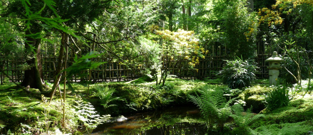 Vijver Japanse tuin Den Haag