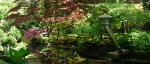 Kleurrijke Japanse tuin in Den Haag