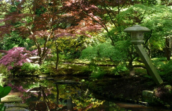 Kleurrijke Japanse tuin in Den Haag