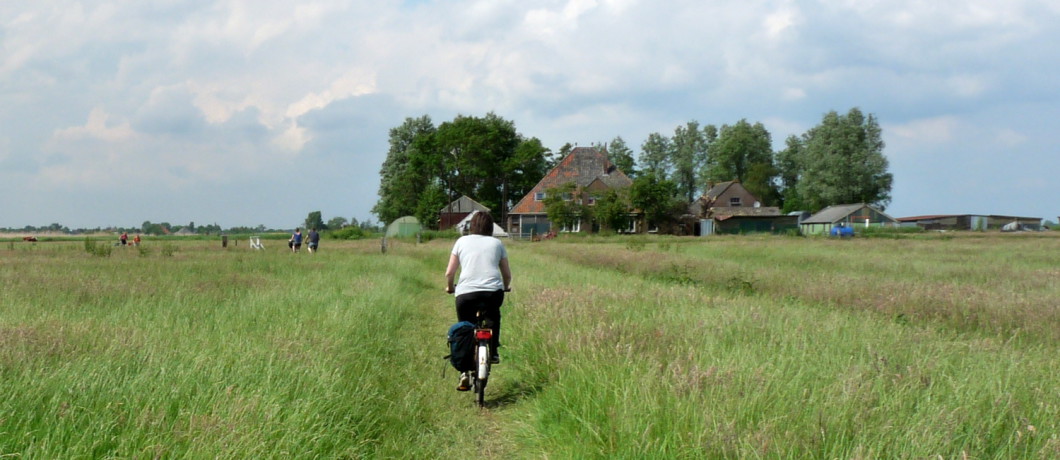 Fietsen door de weilanden van Waterland