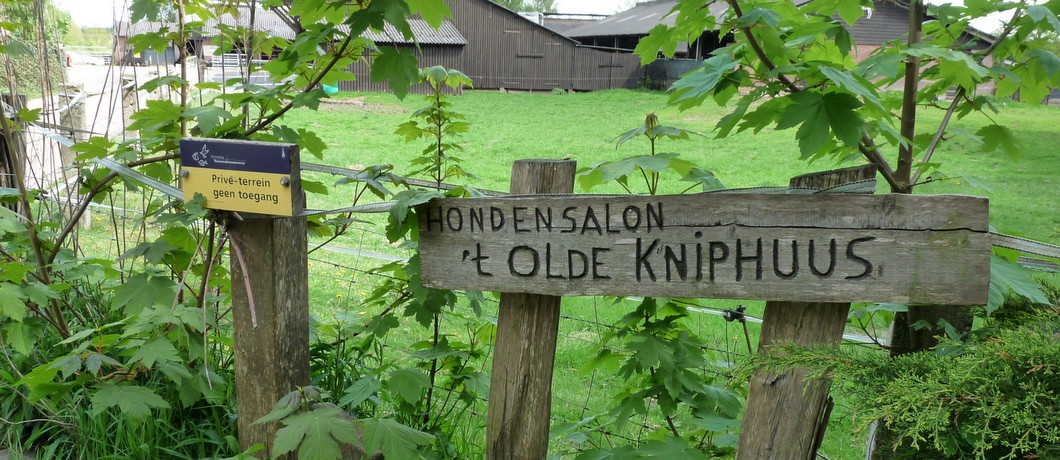 wandelen bij Zutphen
