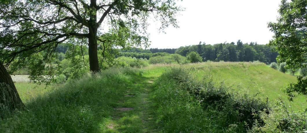 Wandelen over de winterdijk bij Deventer