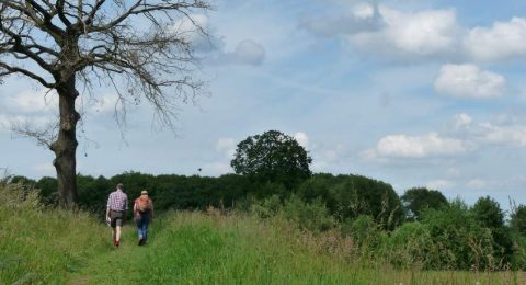 Vanuit Deventer wandelen over de bomendijk door de uiterwaarden