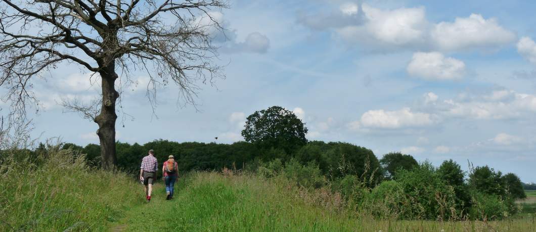 Wandelen over de Bomendijk bij Deventer