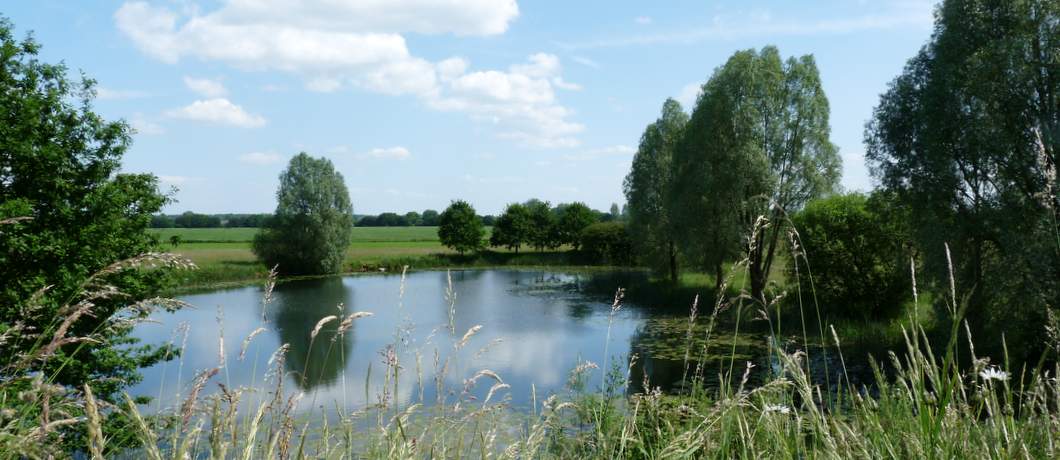 Wiel in de uiterwaarden bij Wilp