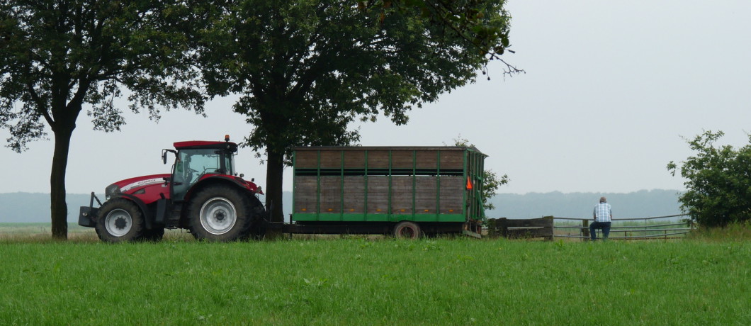 Weilanden bij De Moerputten