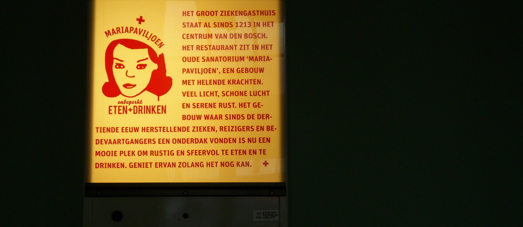 voormalig sanatorium Mariapaviljoen in Den Bosch