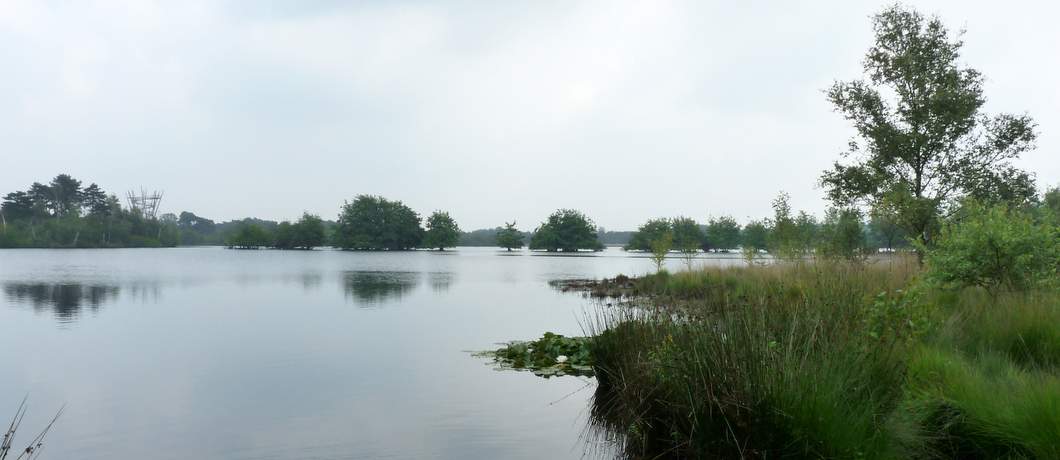 Flaesven op landgoed De Utrecht