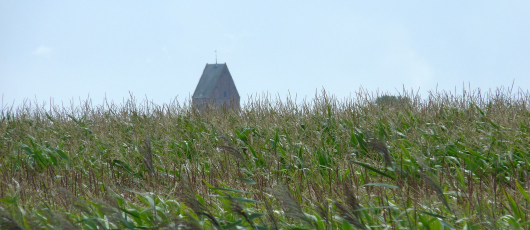 Romaanse kerk van Westeremden
