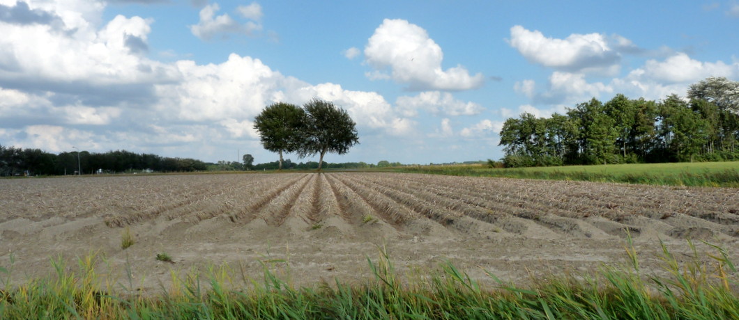 Velden in de omgeving van Vierhuizen
