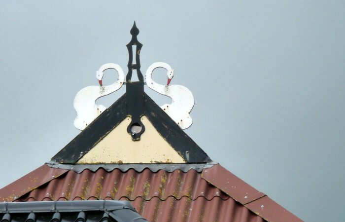 uilenbord met zwanen op een Friese boerderij