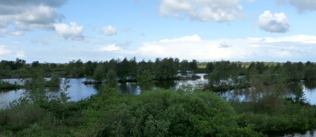petgaten in natuurgebied de Rottige Meente