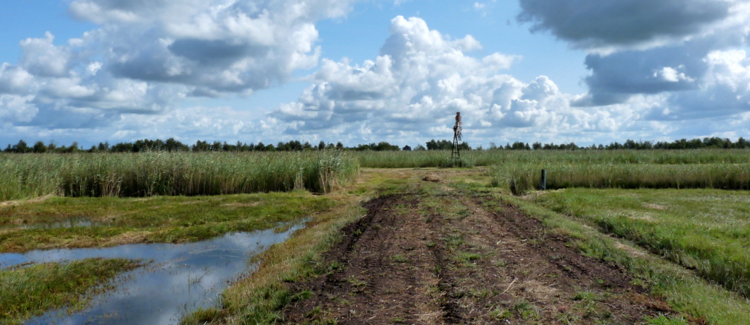 wandelen door de Rottige Meente over de ribben