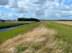 kwelderdijk bij Nieuw-Midhuizen