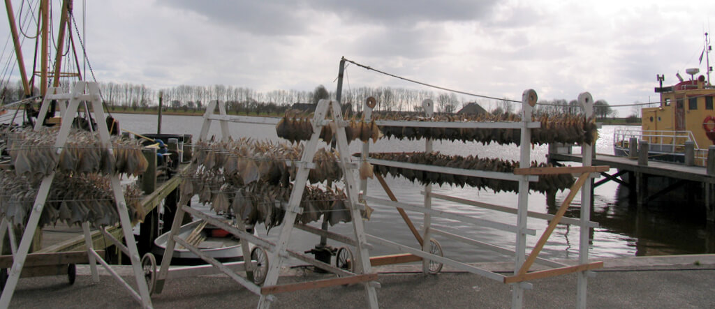 Gerookte bokking van palingrokerij Gaele Postma in Zoutkamp