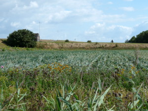 dijk achter Nieuw-Midhuizen