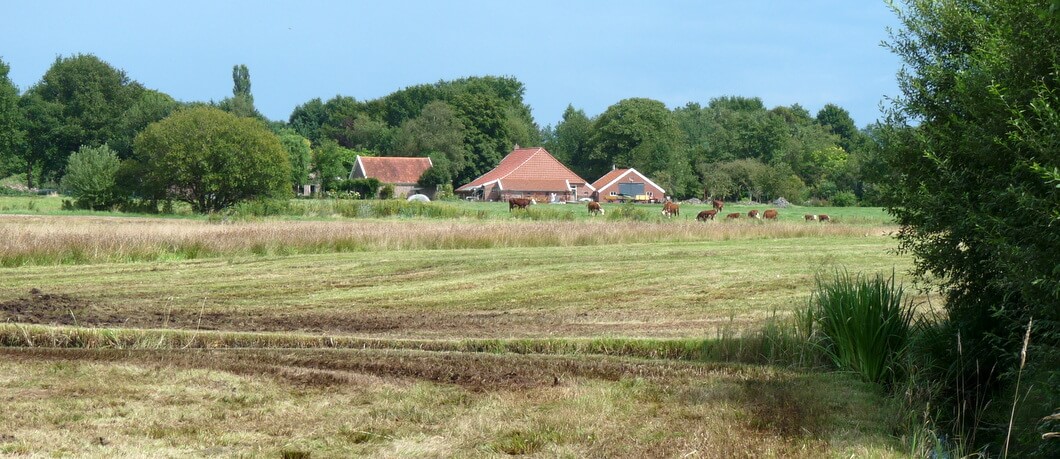 Het vriendelijke landschap van Westerwolde