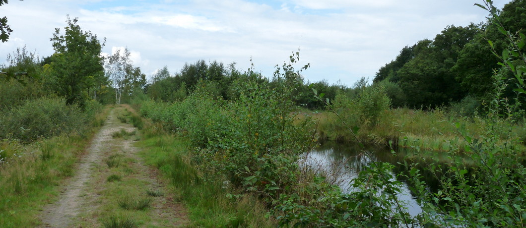 gevarieerd landschap rond het Westerwoldepad