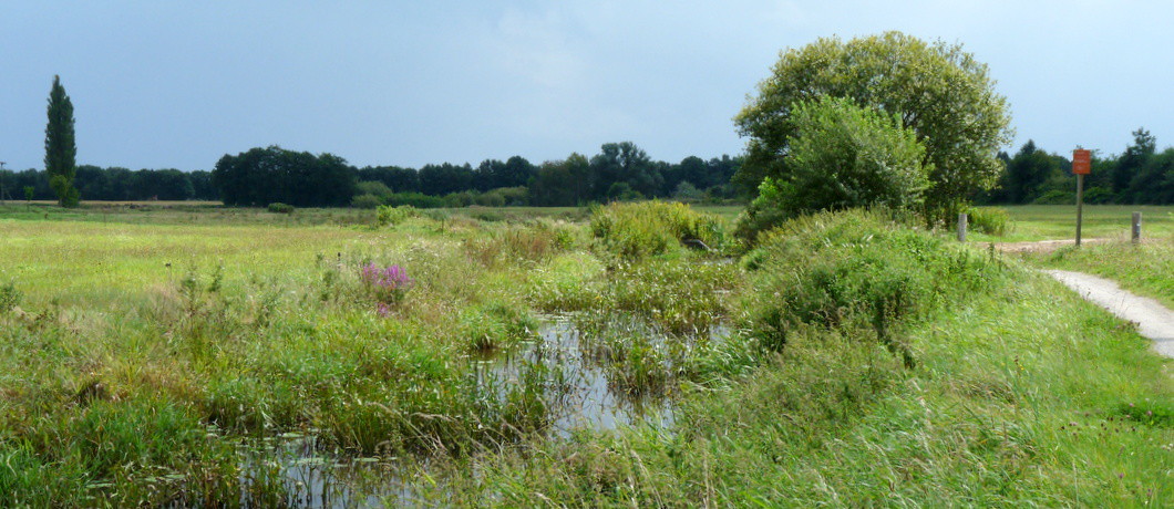 Riviertje de Ruiten Aa langs het Westerwoldepad