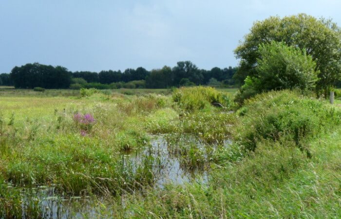 Riviertje de Ruiten Aa langs het Westerwoldepad