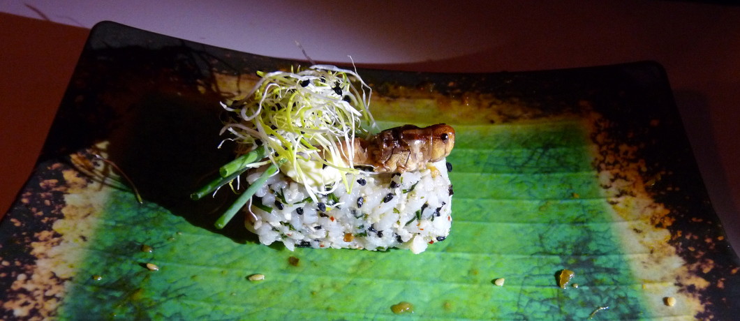 Sprinkhanen bij restaurant LE:EN Utrecht