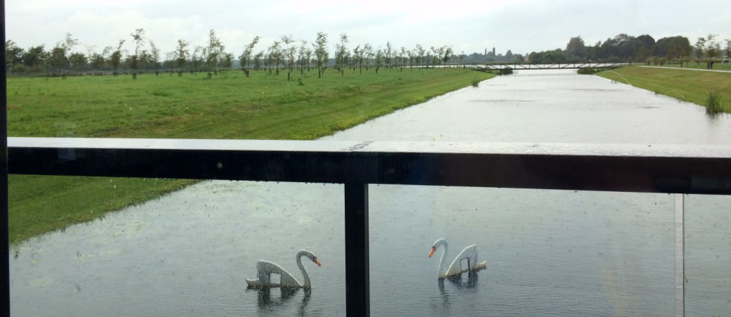 Uitzicht vanuit Museum Belvédère