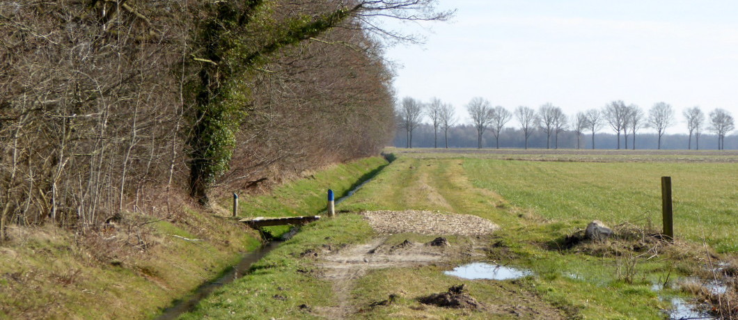 Houten bruggetjes in NP Drentsche Aa