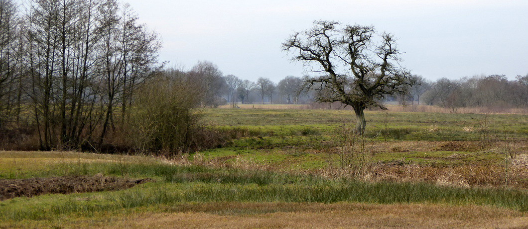 Beekdal van het Gasterensche Diep
