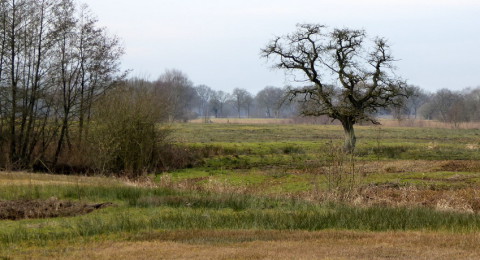 Dwars door het nationaal beek- en esdorpenlandschap Drentsche Aa