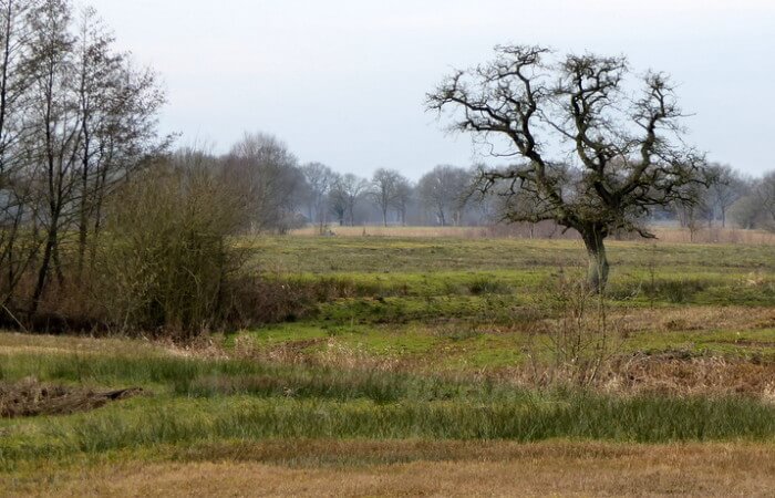 Beekdal van het Gasterensche Diep