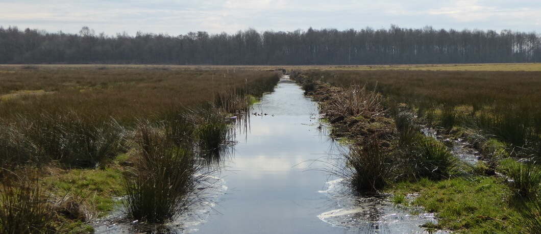 Landschap van Nationaal Park Drentsche Aa