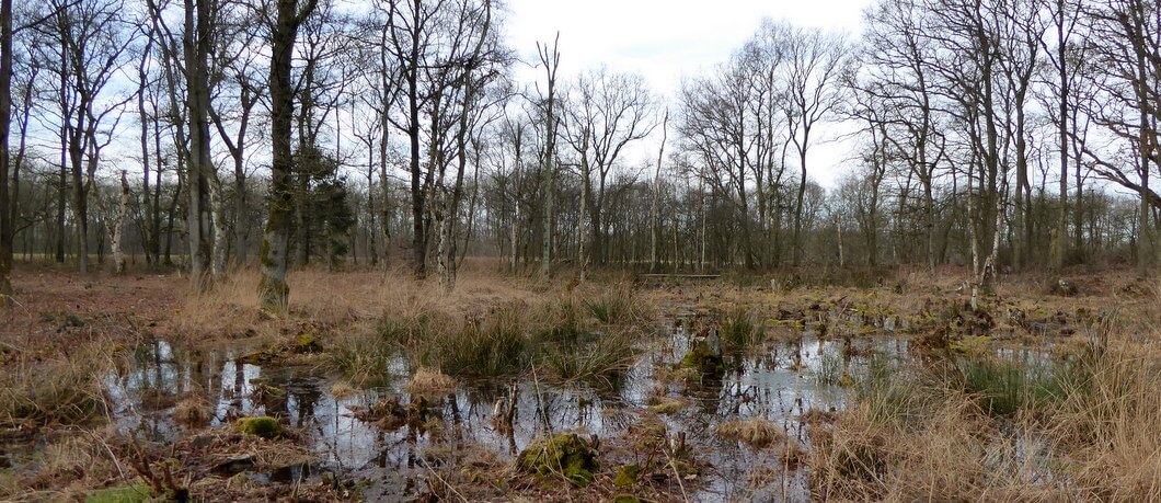 Beeklandschap rond Gasteren
