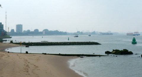 Strand van het Quarantaineterrein aan de Maas