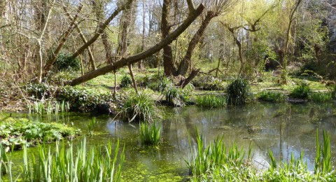 Natuurtuin Slatuinen groene oase tussen de huizen in Amsterdam