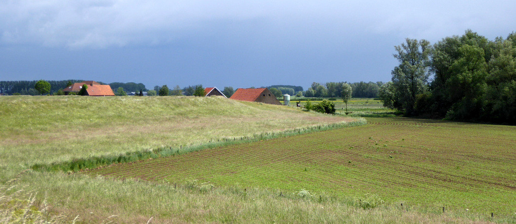 boerderijen Ooijpolder