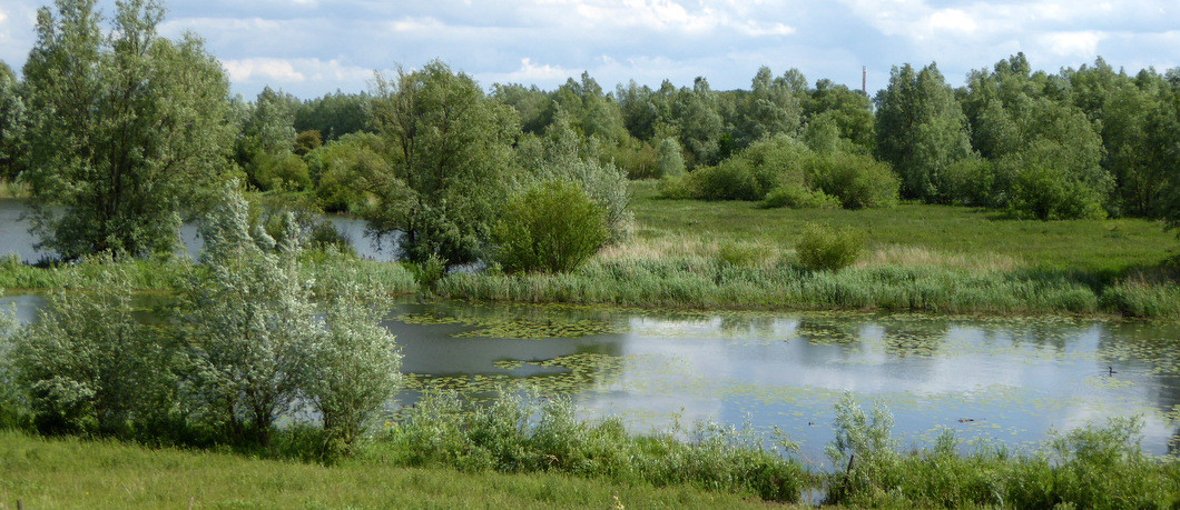 fietstocht Rondje Pontje polder