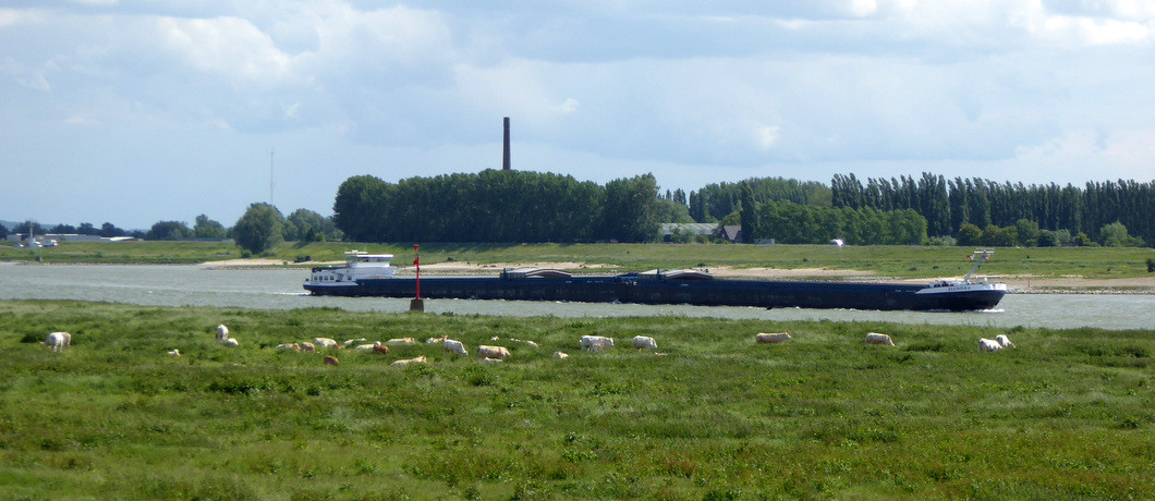 vrachtschepen op de Waal