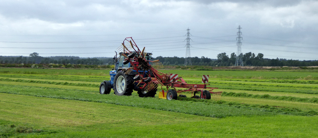 Boerenland in de IJsselvallei