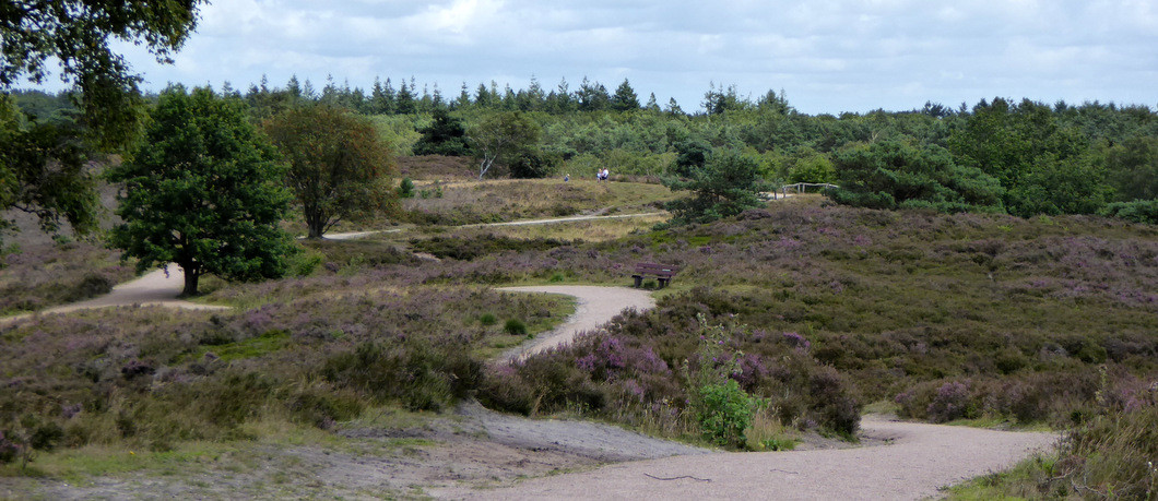 Natuurgebied Renderklippen Epe-Heerde.