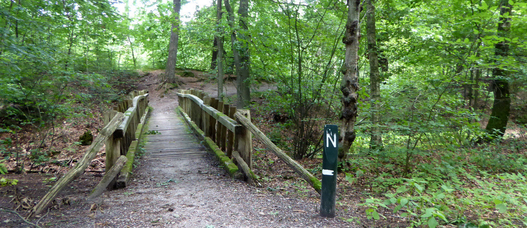 Brug in natuurpad Renderklippen.