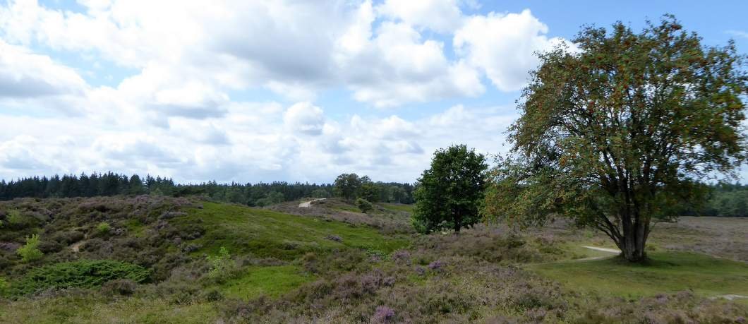Hoogteverschillen bij natuurgebied Renderklippen.