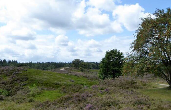 Hoogteverschillen bij natuurgebied Renderklippen.