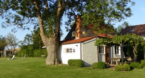 Tuin vakantiehuisje Duivenhoekseweg 10