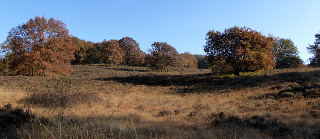Herfstlandschap en hoogteverschillen
