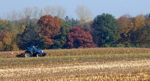 Natuurgebied De Krang: wandelen langs Limburgs goud