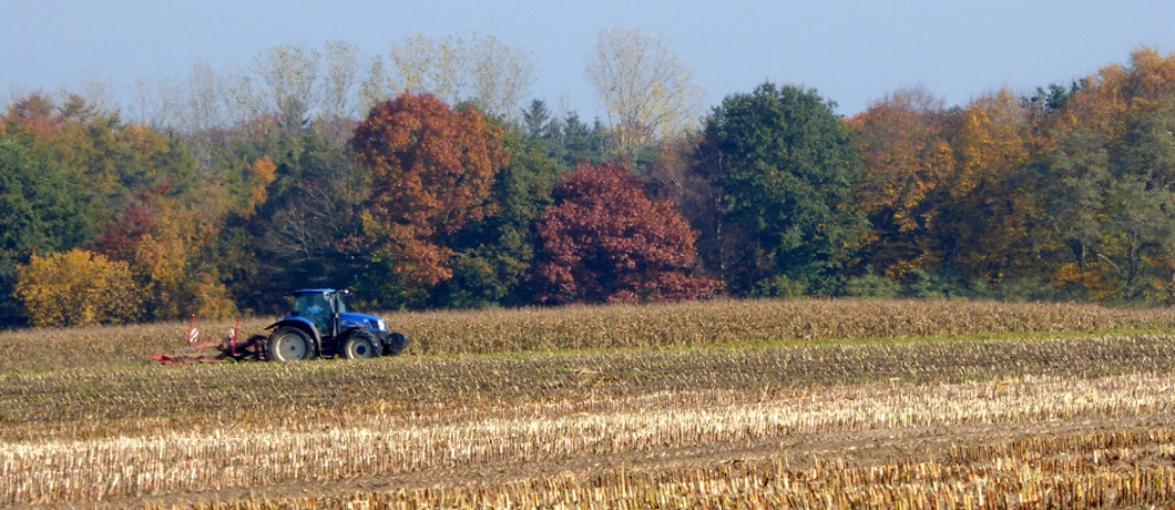 Akkers rond natuurgebied De Krang