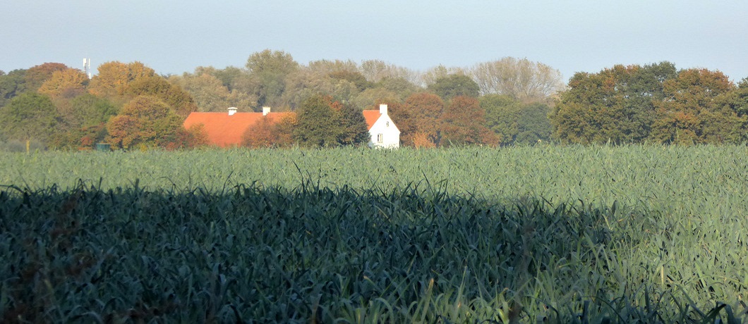 Wandelen langs velden en boerderijen in natuurgebied De Krang
