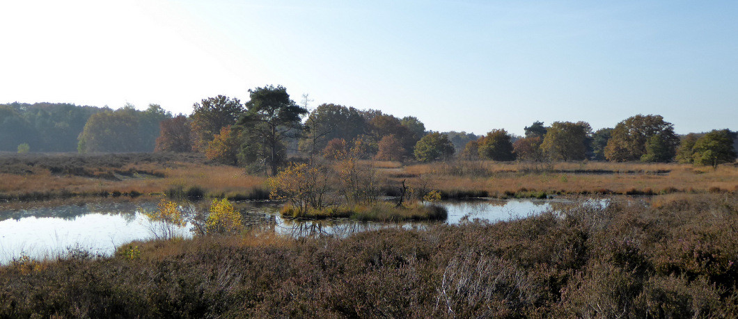 Ven in Nationaal Park De Meinweg