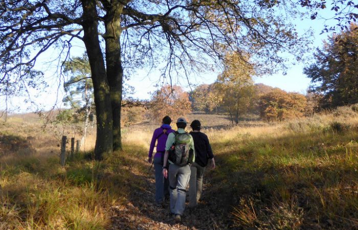 Terrassenlandschap van Nationaal Park De Meinweg